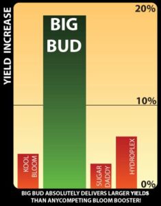big bud advanced nutrients grafico