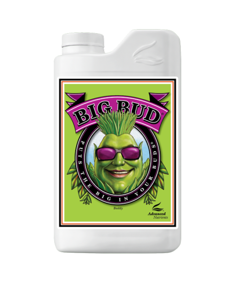 big bud advanced nutrients