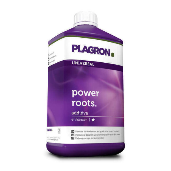 power roots plagron radici