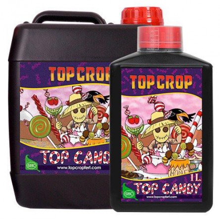 TOP CANDY - TOP CROP
